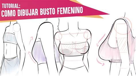 senos para dibujar|Tutorial: cómo dibujar pechos femeninos